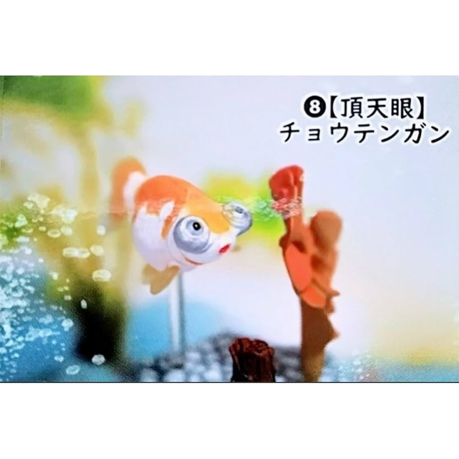 未開封 金魚立体図鑑 全8種 フィギュア まとめ売り Amazon | 金魚立体図鑑 全8種類 リアルフィギュア カプセルトイ