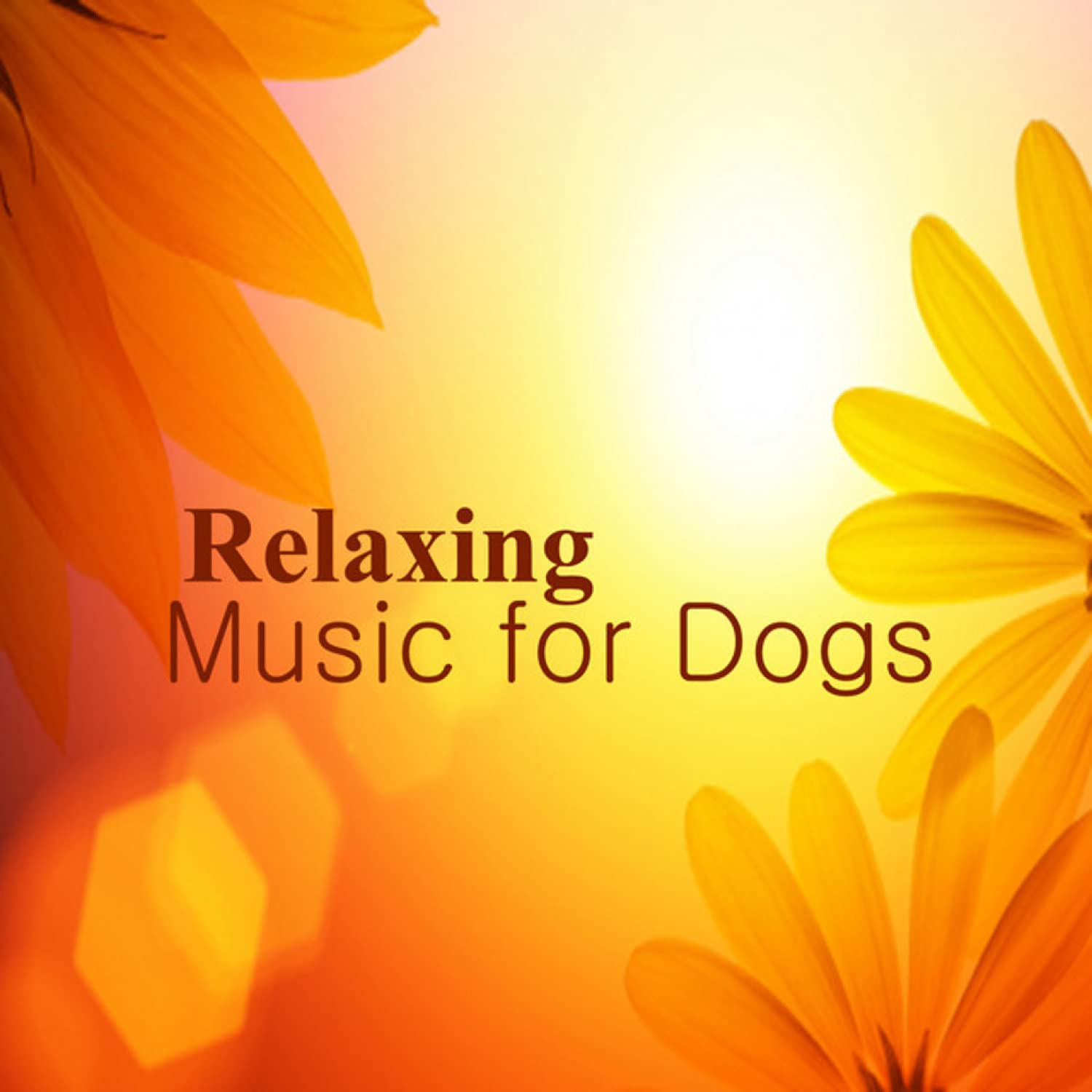 The Piano Music Group