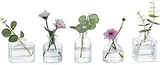 Glasseam Small Bud Vase for Flowers: Glass Vases for Decor Clear Vase Set of 5 for Home Centrepiece Wedding Party Living Room Dining Table Decorations - Mini Vase for Flower Plant Cutting