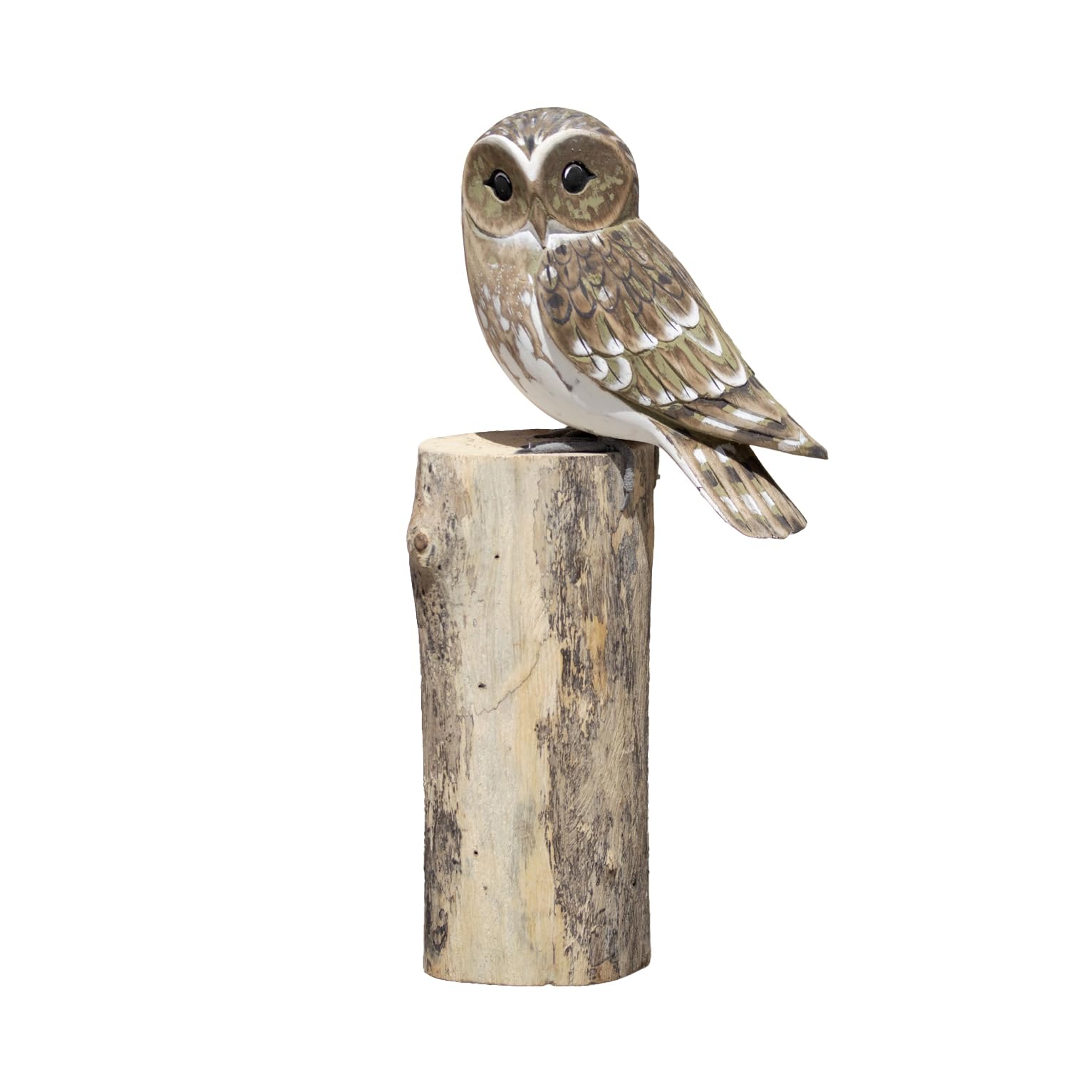 Darthome Brown Barn Owl On Driftwood Wooden Perch Base 10X25x10cm Decorative Ornament Sculpture Figures
