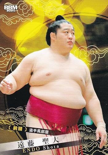 2025 大相撲カード 21 遠藤 聖大 前頭 (レギュラーカード) 2025 大相撲カード 21 遠藤 聖大 前頭 (レギュラーカード)