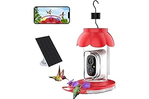 Hummingbird Feeder with Camera, Solar-Powered, 1080P Video Recording