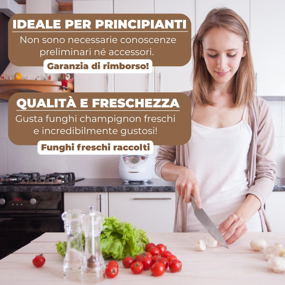 Hawlik Pilzbrut - Set di 2 colture fungine da champignon XXL – grande set da degustazione – facile da coltivare da funghi, senza conoscenze preliminari – set da allevare funghi - funghi coltivazione