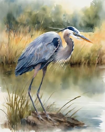 ZMHZMY Oil Painting Kit for Beginner Digital Painting Great Blue Heron Bird Paint by Numbers for Adults Beginner Arts Craft for Decoration,40x50cm No Frame