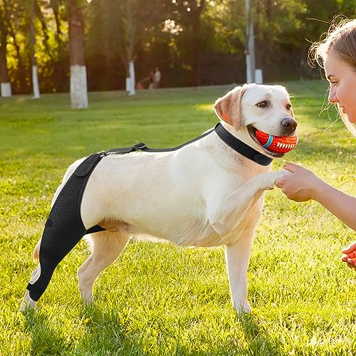Image of Dog Knee Brace - Knee Cap Dislocation for ACL, CCL, Cruciate Ligament Injury, Joint Pain and Muscle Sore, Adjustable Dog Rear Legs Bracer with Metal Side Stabilizers (Black, Medium-Right)