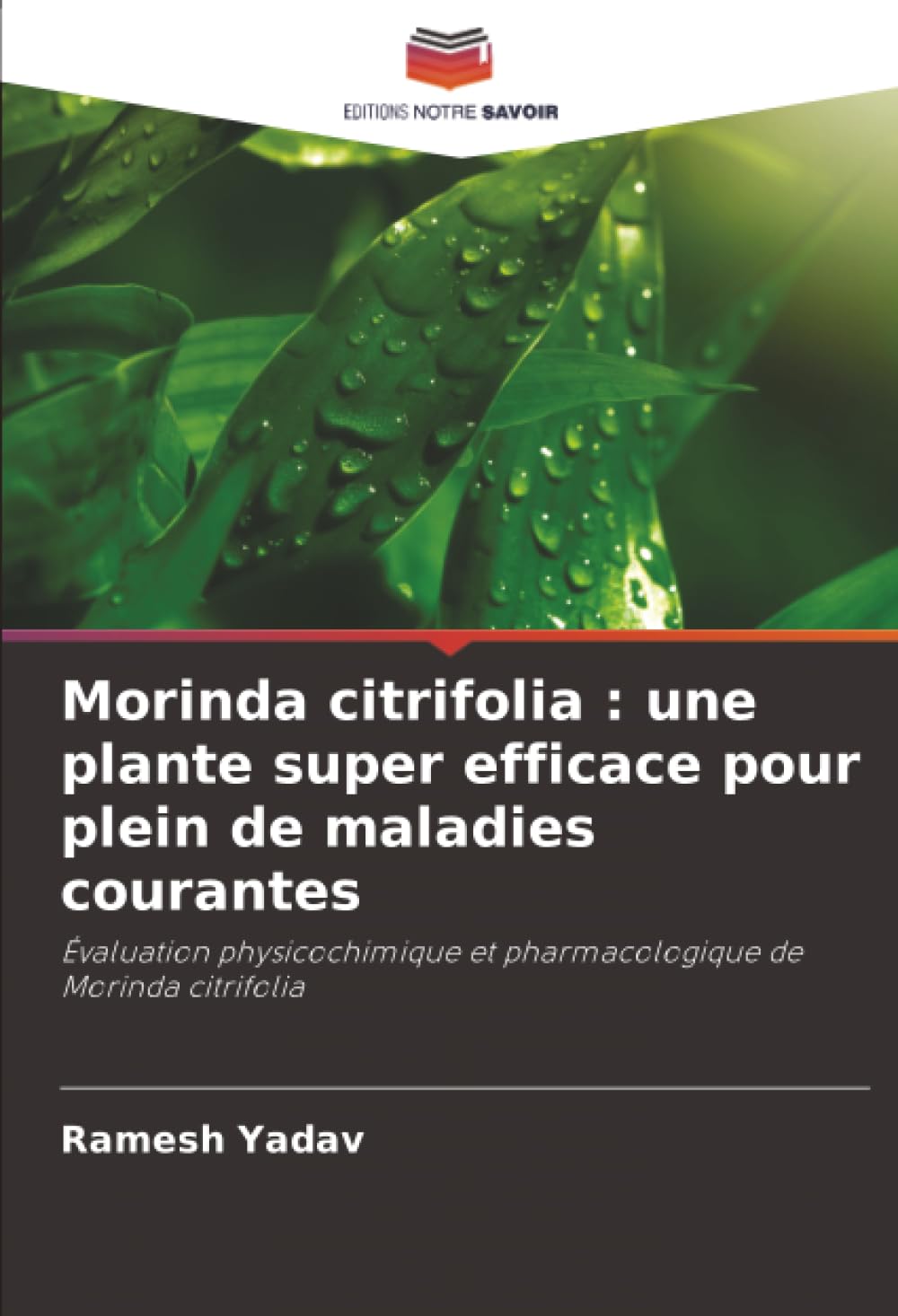 Morinda citrifolia : une plante super efficace pour plein de maladies courantes: Évaluation physicochimique et pharmacologique de Morinda citrifolia
