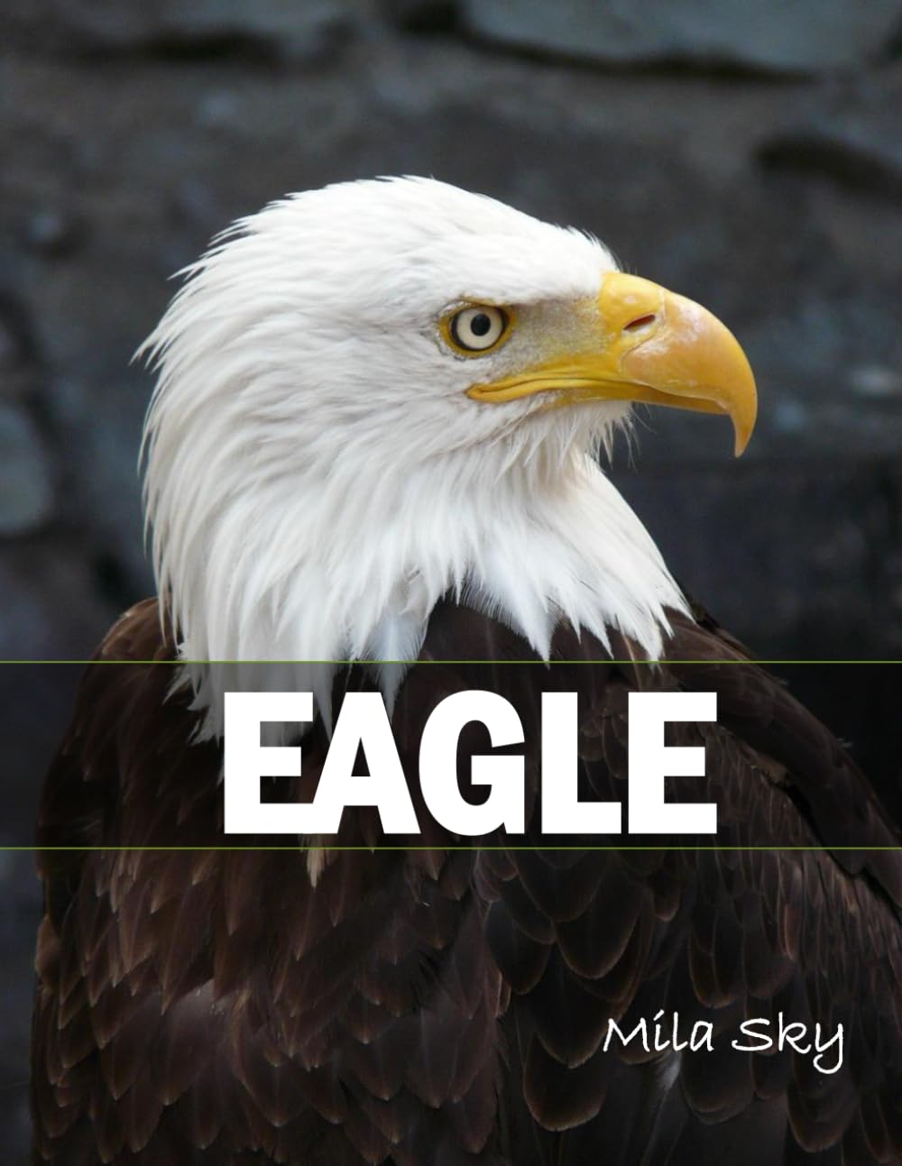 Eagle: A Coffee Table Photo Book for Animal Lovers
