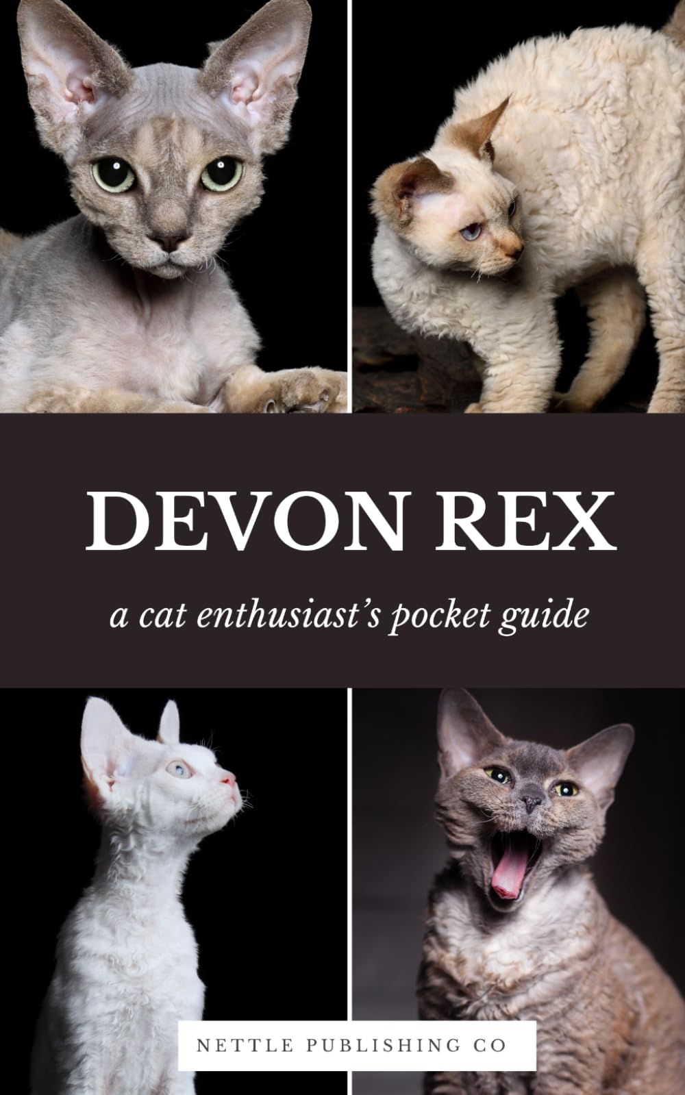 Devon Rex Cats | A Complete Pocket Guide Book: Breed-Specific Care Handbook With Pet Passport with Records Logbook (Cat Breeds by Nettle Publishing Co)