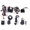 Complete ATV Wiring Harness Kit with CDI, Ignition Coil, Stator & Accessories Direct Fit for Chinese 125-250cc 4-Stroke ATV Quad, Go Kart, Dirt Bike