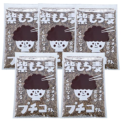 炾ɂƑ܏  Y 900g /5   v`R ᓜ _CGbg  _CV`