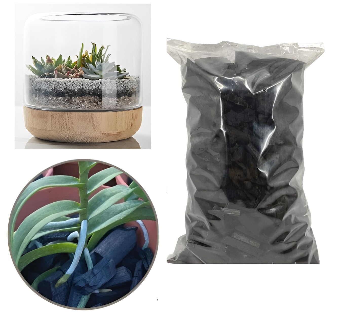 Green view Super Activated Charcoal Use for Soil Mixing,Best for Indoor Plants Orchid Terrarium, Miniature Garden and Lawn- Craft - 1 KG (B0CWDBR99M) Amazon Price History, Amazon Price Tracker
