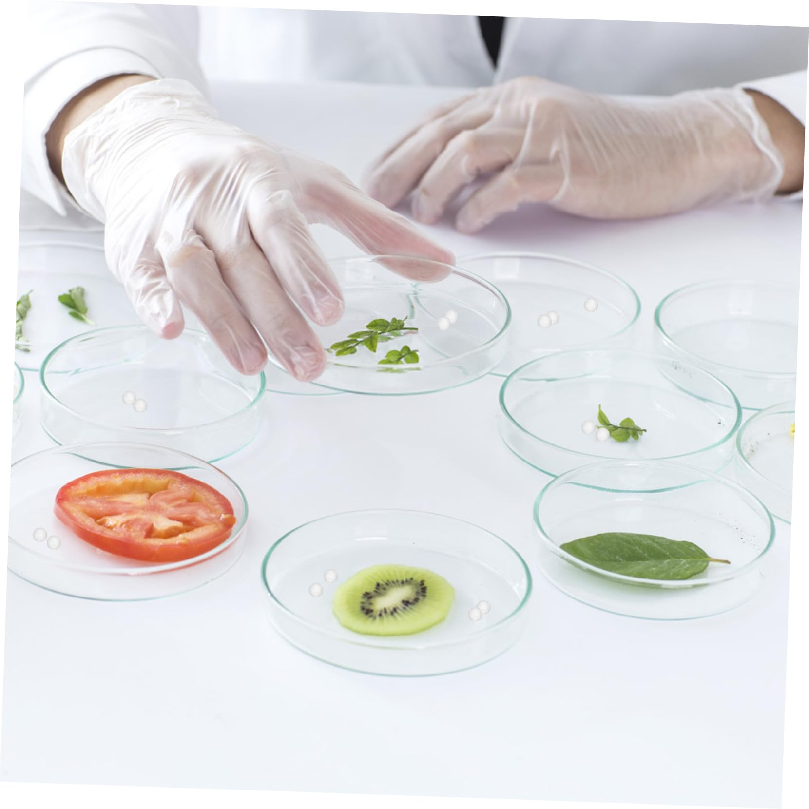 Zerodeko Bolas De Vidrio Sólido Transparentes De 2 Mm, Paquete De 2000 Esferas De Cristal Para Laboratorio, Alta Dureza y Superficie Lisa, Adecuado Para Experimentos y Cultivo De Bacterias