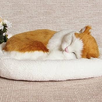 Amazon | [AiO JAPAN] インテリア クッションで寝る猫 白茶 ネコ