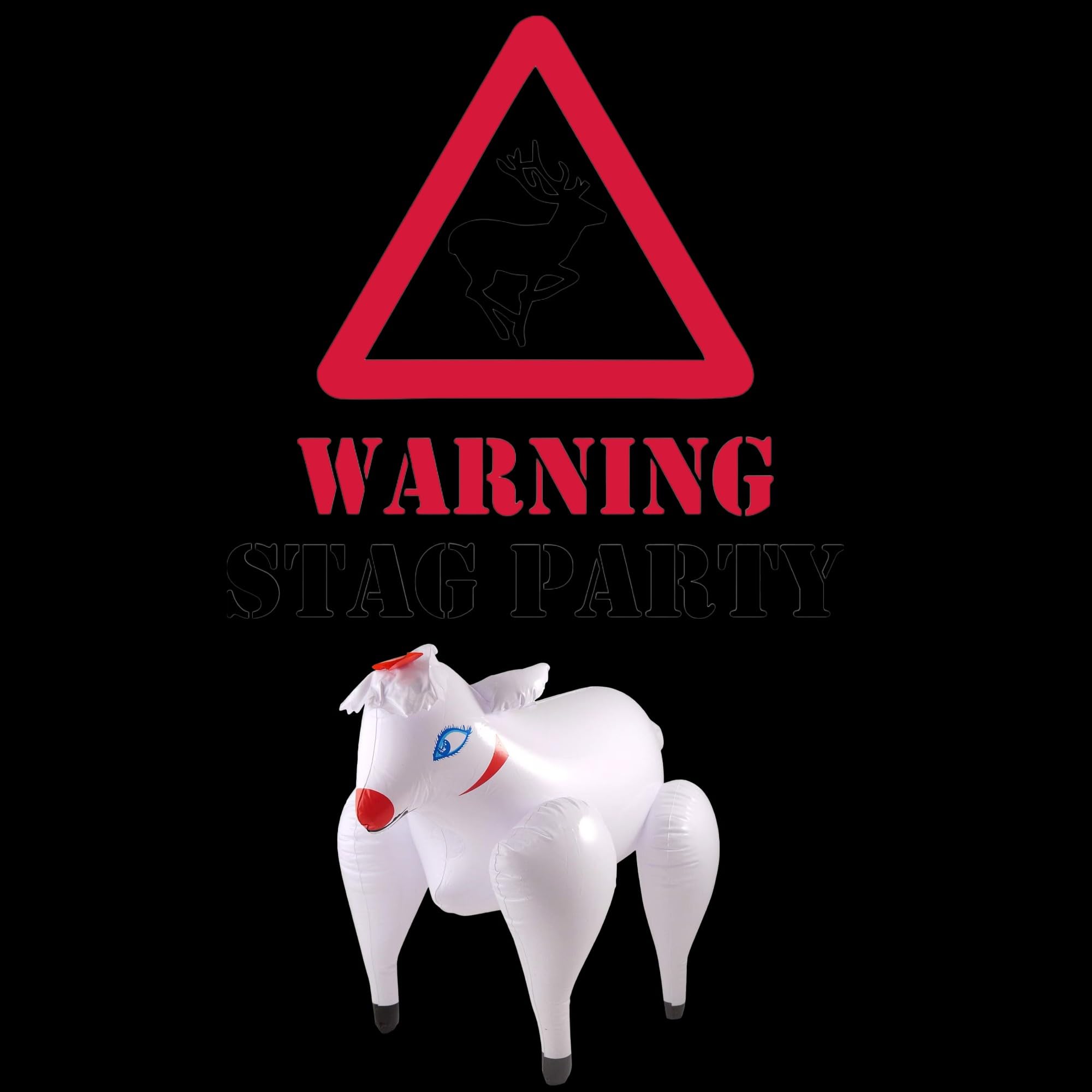 Lot De 10 Ballons Gonflables En Forme De Cœur « Spatzl » En Forme De