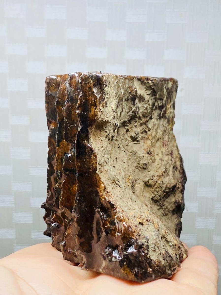 Amazon.co.jp: 鑑別書付き 大型 476g 宇宙パワー パラサイト隕石