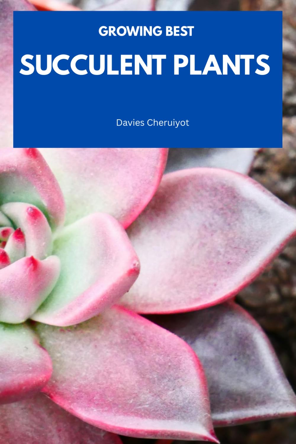 GROWING BEST SUCCULENT PLANTS (Succulents)
