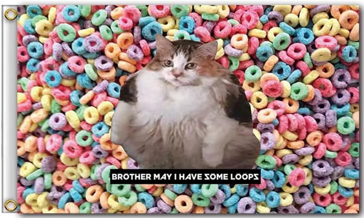 Funny Flags for Live Laugh Your Mom Flag Room 3x5 Feet