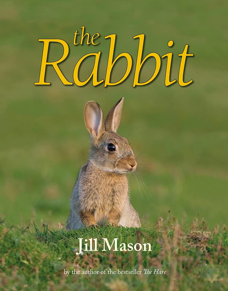 The Rabbit by Jill Mason, David Mason - 9781906122980