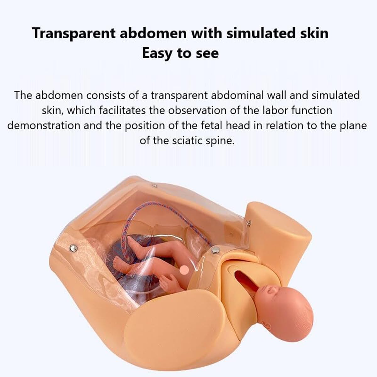Symulator porodu model miednicy do demonstracji porodu, naturalny rozmiar anatomiczny model miednicy, forma do nauczania macicy dziecka