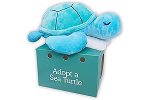 Sam The Sea Turtle Plush with Pillow Accessory - 10" Adopt Me Plushies