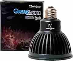 ボルクスジャパン グラッシーレディオ　RX121s RFS Grassy LeDio RX121s / グラッシー・レディオ RX121s – ボルクス