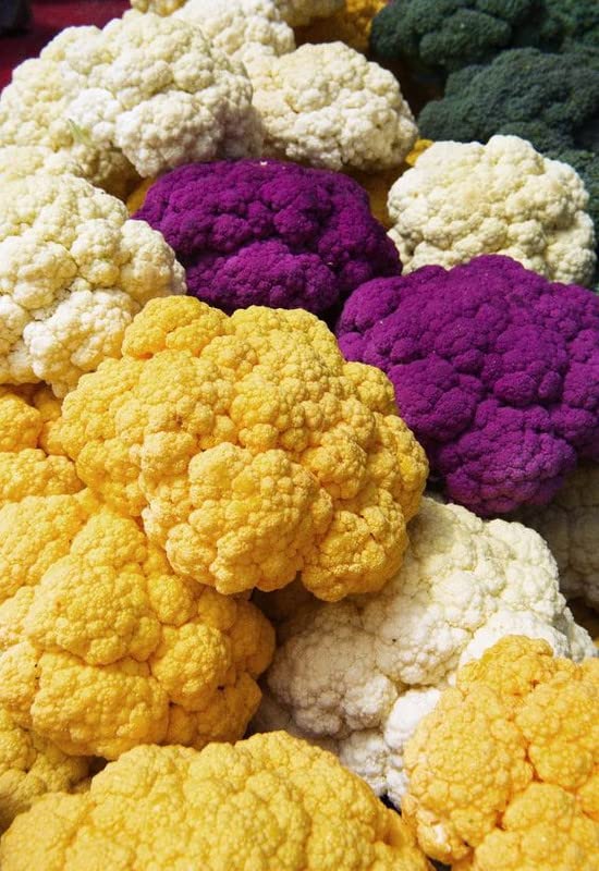 Radha Krishna Agriculture® Imported vegetable Cauliflower Yellow F1 Hybrid seeds For Your Home & kitchen Garden (Pack Of 100 Seeds) (B0B1KMQDHZ) Amazon Price History, Amazon Price Tracker