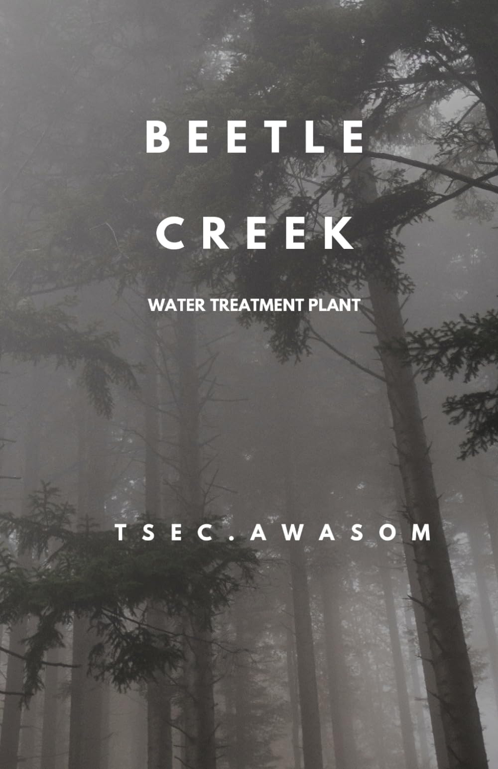 BEETLE CREEK: Wastewater Treatment Plant