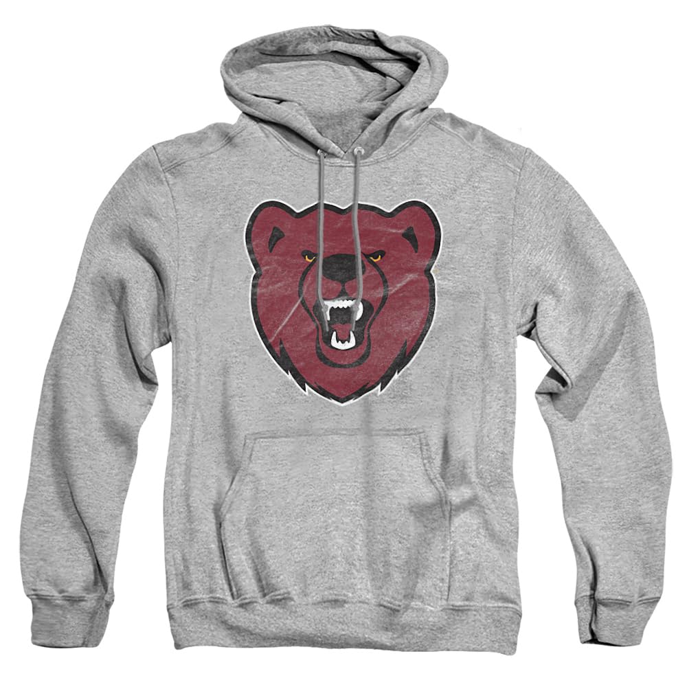 LOGOVISION Official Collegiate Distressed Primary Logo Adult Pullover Hoodie Collection — view 136