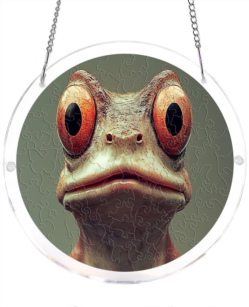 Frog Face Acrylic Jigsaw Puzzles Suncatcher, 8.2 Inch Window Hanging Suncatcher Acrylic Puzzle, DIY Home Decor Art Gift
