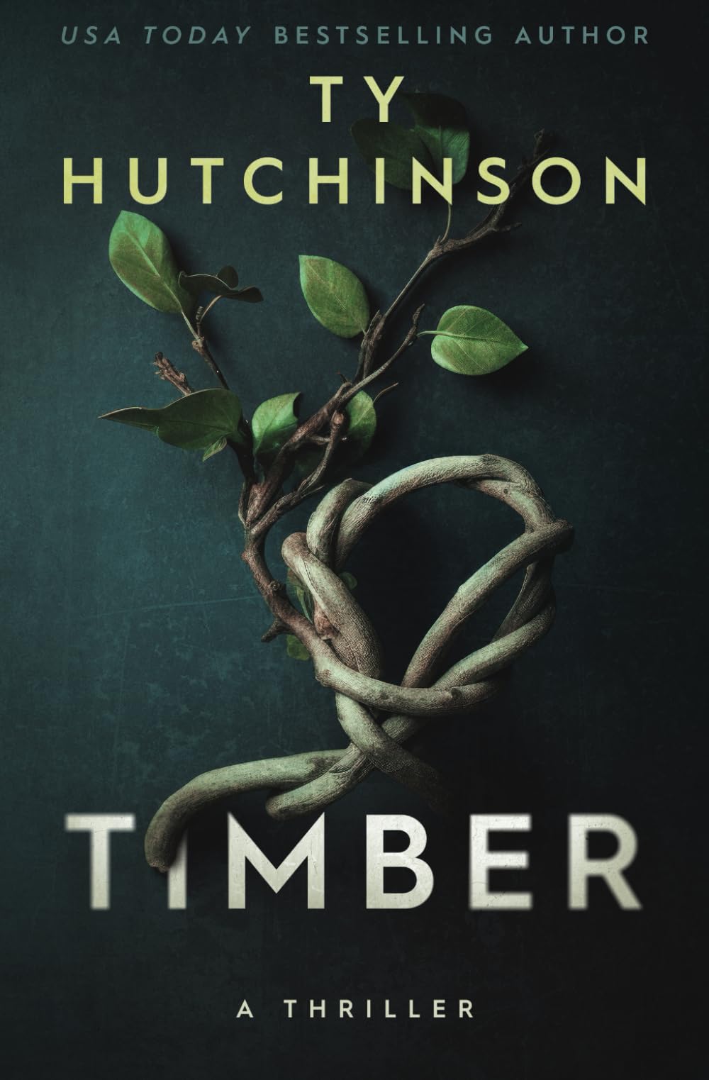 Timber: A twisted psychological thriller (Ty Hutchinson Psychological Thriller)