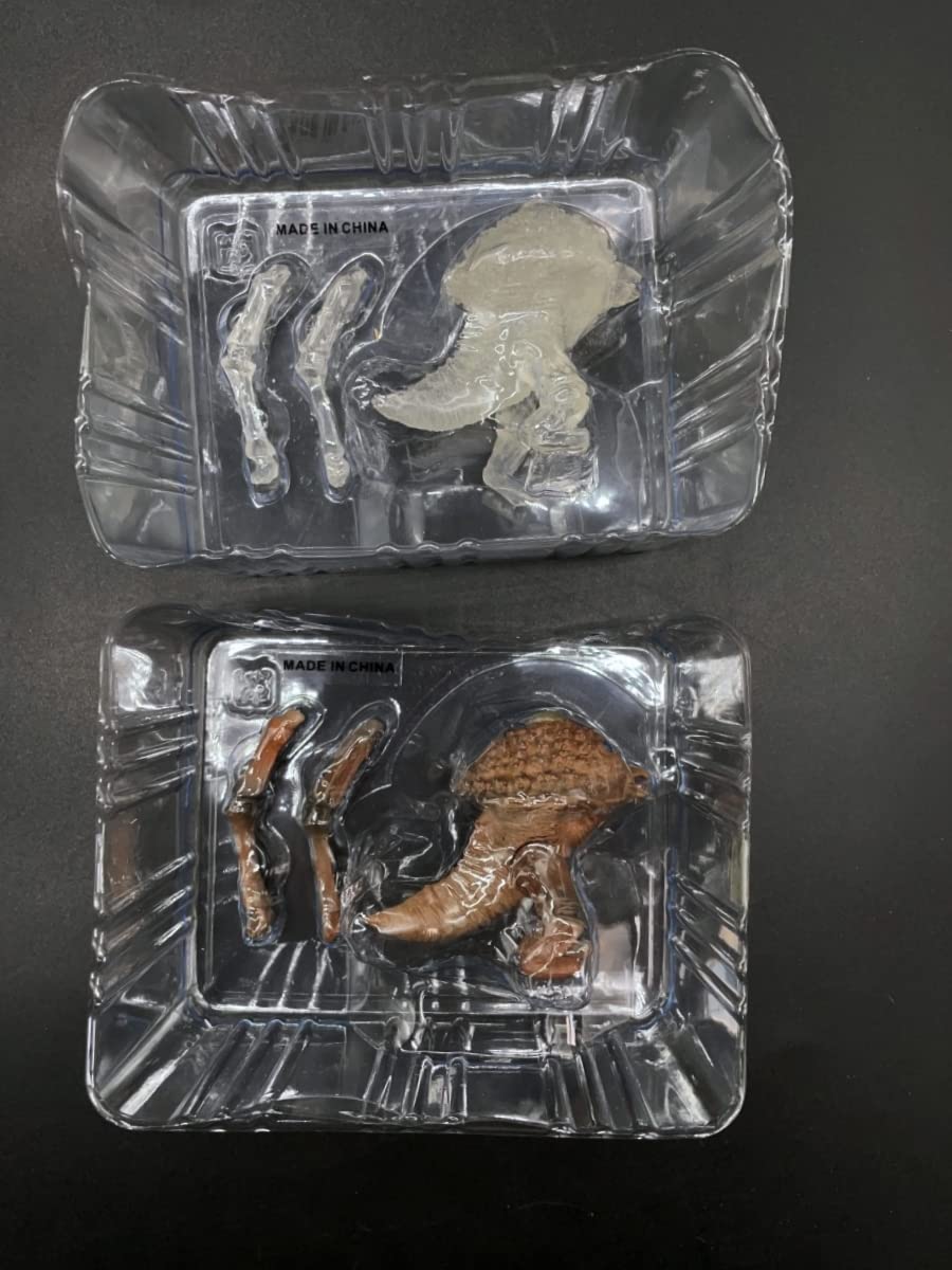 Amazon.co.jp: 〓イワクラ〓ガメラ.ガッパ.ギララ特撮大百科ver2