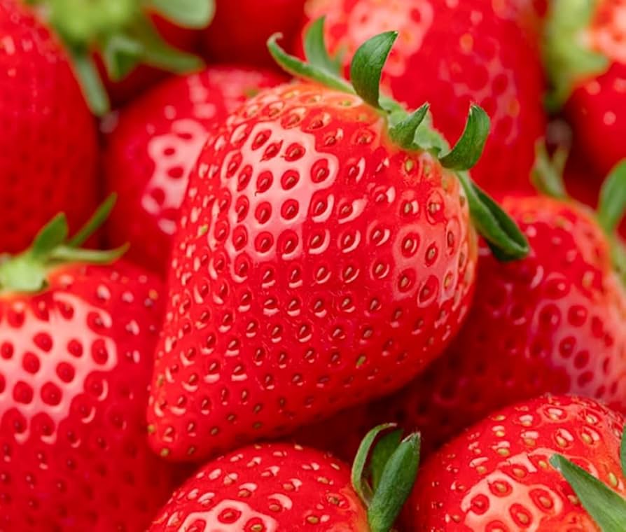 Amazon.co.jp: 【冷蔵】極甘 やよいひめ 中粒～大粒 500g前後