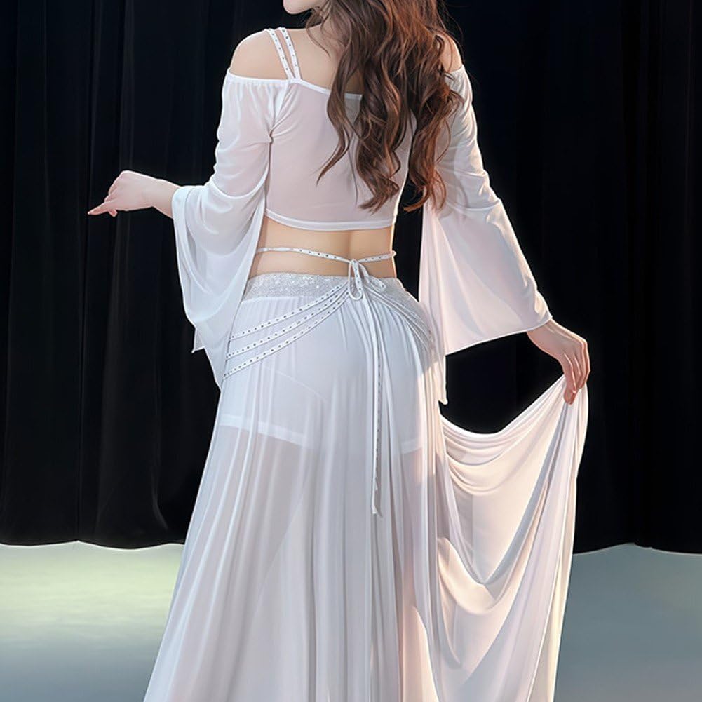 Dianzan Bauchtänzerin-kostüm Für Damen, Langes, Atmungsaktives Bauchtanzkleid Langen Ärmeln, Professionelles Tänzerinnen-Outfit, Bauchtanzrock, Tanzübungs-Outfit
