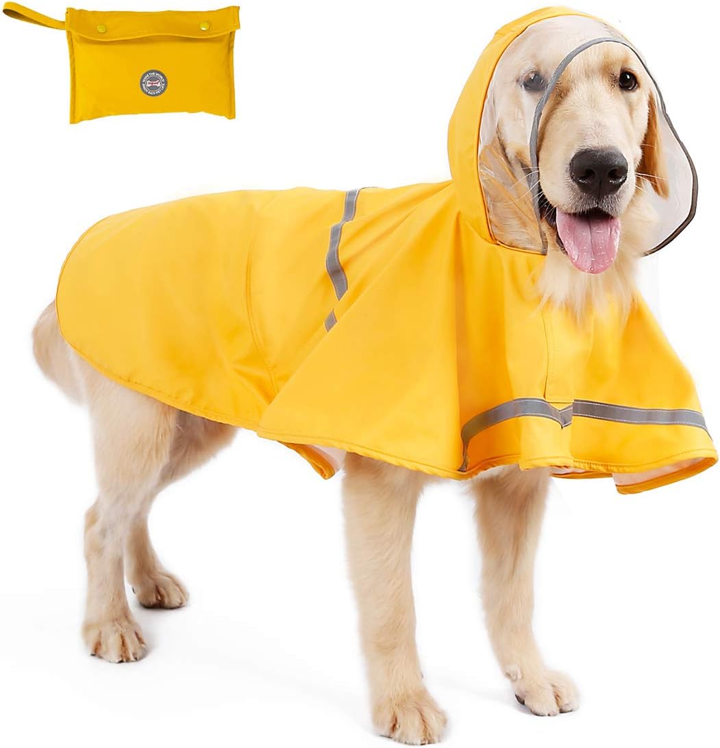 dog windbreaker
