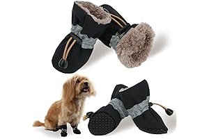 Pawsitively Protected: Chihuahua Snow Shoes for Winter Adventures