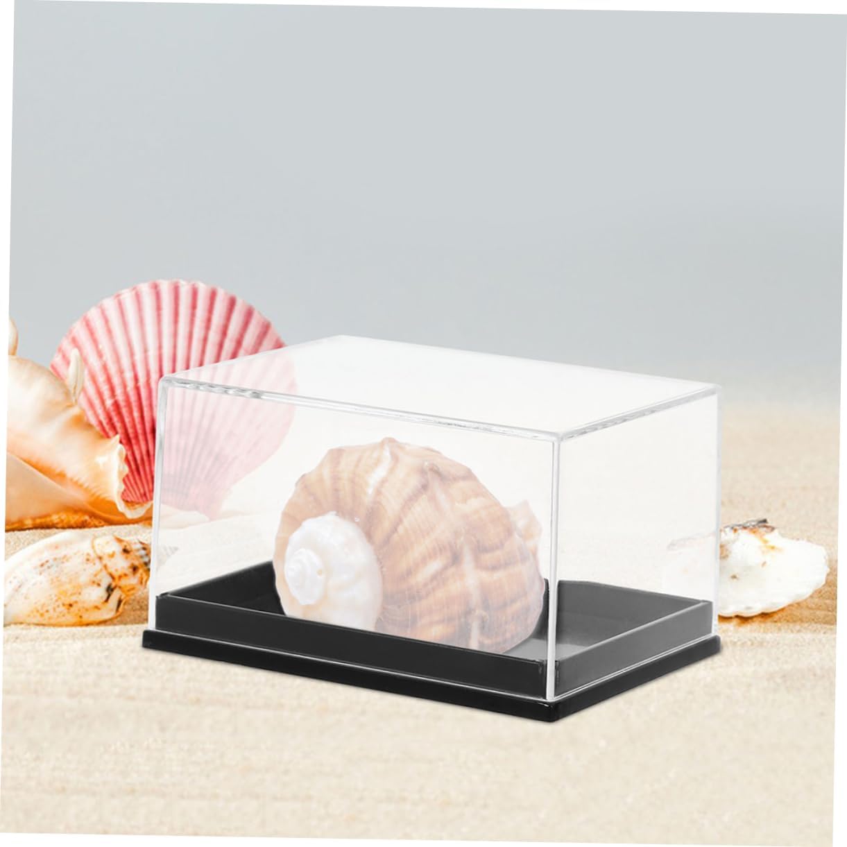 Kisangel 8pcs Gemstone Display Case Specimen Boxes for Jewelry Storage Shell Collection Box