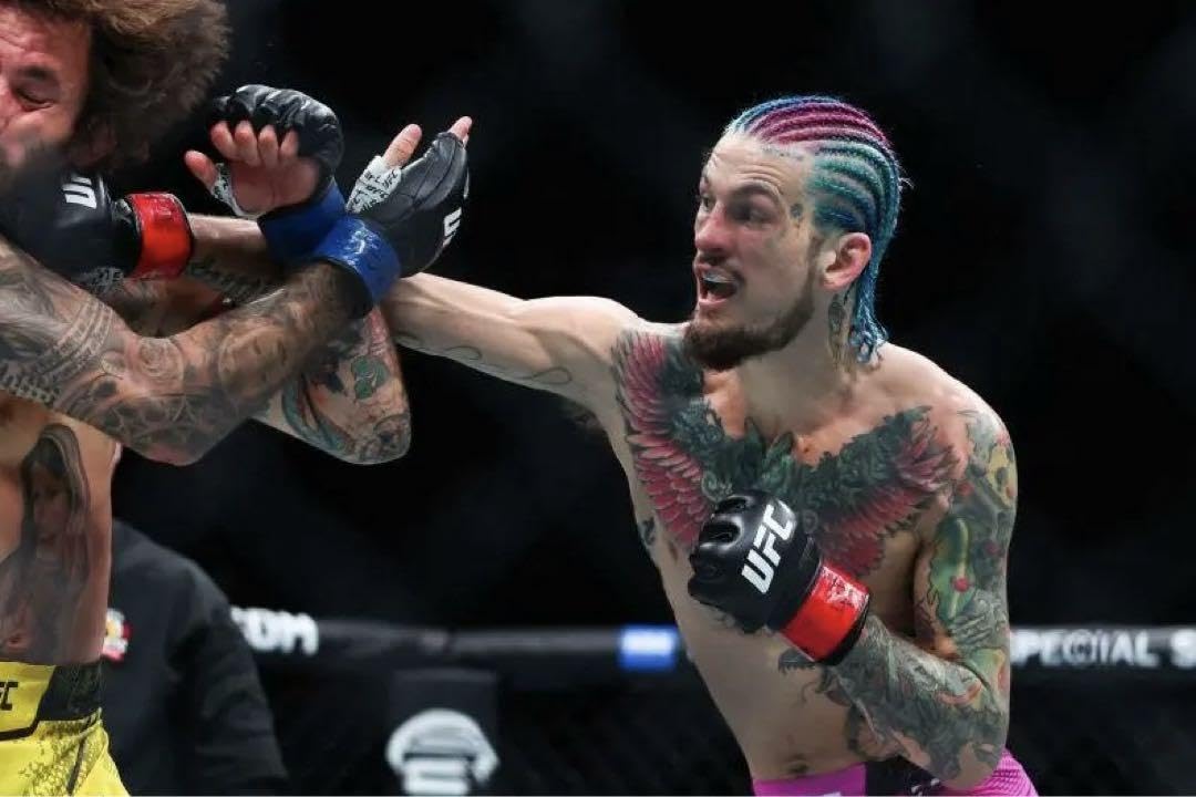 Amazon | UFC オフィシャル オープンフィンガー グローブ RIZIN