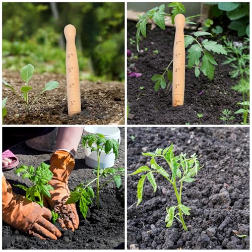 Herramienta de jardinería Wooden Seed Dibber 20 cm miniatura 7