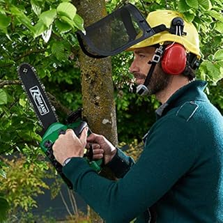 Ribimex Motosega da Potatura a Scoppio 25,4 cc, Lama da 300 mm, 1,07 HP a 11.000 giri/min, Lubrificazione Automatica, Velocità Catena 21 m/sec, Avviamento Manuale, Accessori Inclusi - PRTRT301