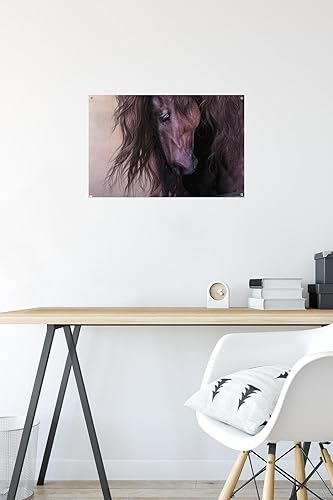 Miniatura 6 de Trends International Laurie Prindle - Equus Wall Poster with Push Pins