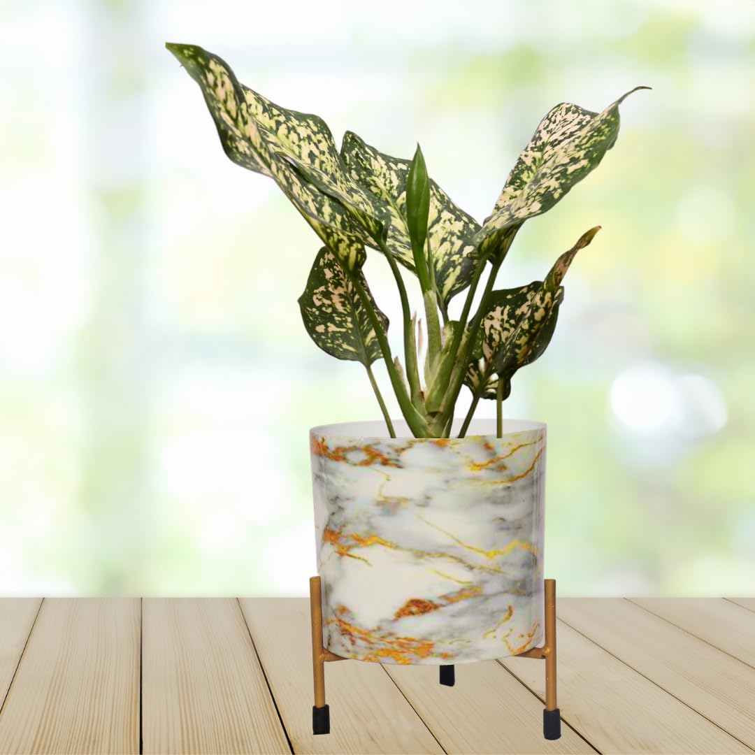 The Subtle Art® Marble Finish Ethereal White and Golden Planter (Pot Dia: 5.1 inches, Pot + Stand Height: 7.5 inches), for Indoor & Outdoor Plants, Home & Office Decor, Table Top (B0CJC6RG5R) Amazon Price History, Amazon Price Tracker