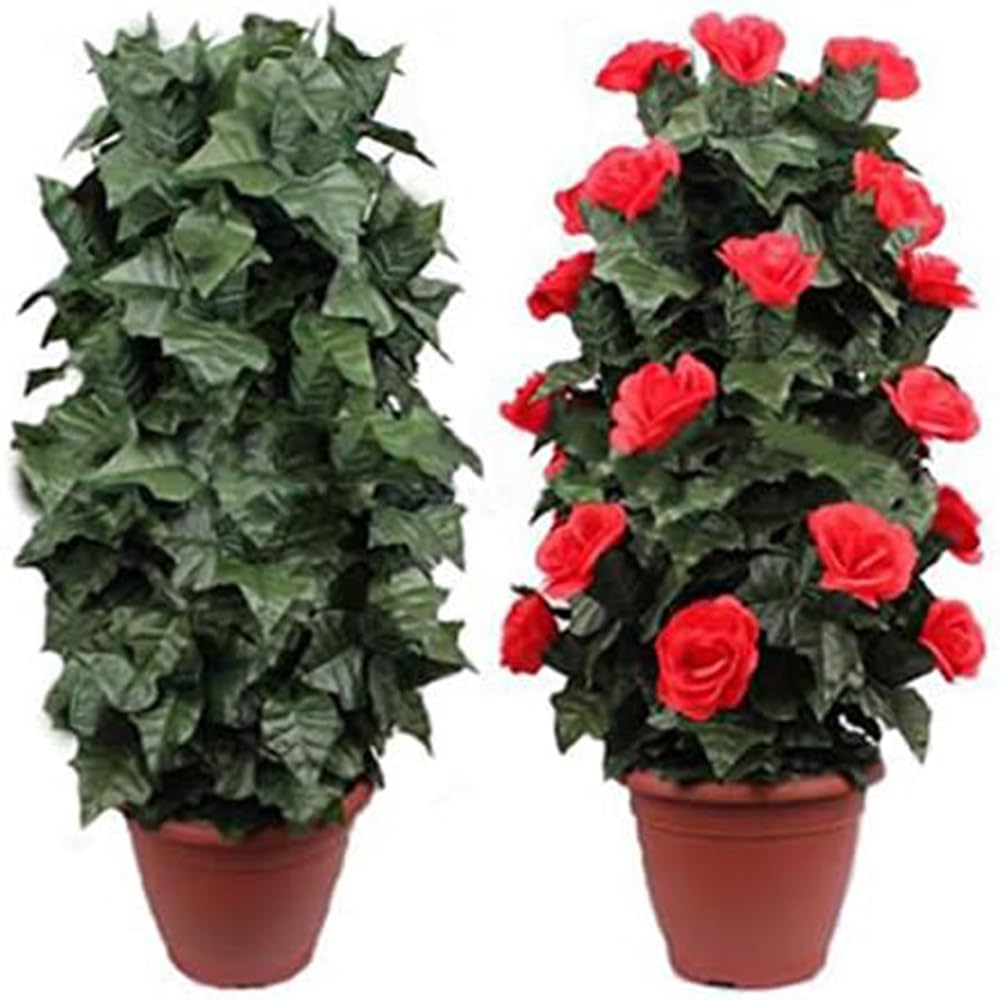 【中古】 手品 マジック 鉢の花が自動的に咲く 薔薇咲き リモートコントロール ローズアピアリング 花マジック ロマンティックマジック ウェディング Amazon | 【手品 マジック】鉢の花が自動的に咲く 薔薇咲き リモート