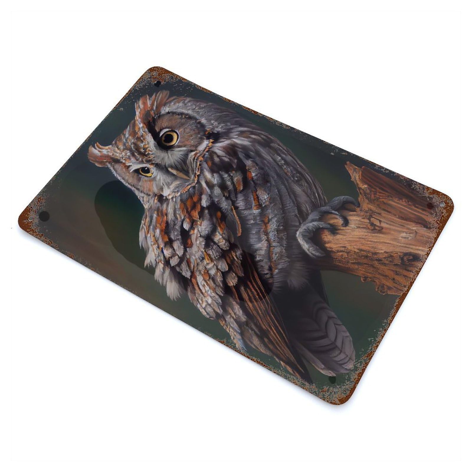 Rust Effect Eastern Screech Owl Decorative Tin Sign 11.8"x7.9", Rustic Home Decor for Cafe, Home Bar And Lounge Decor