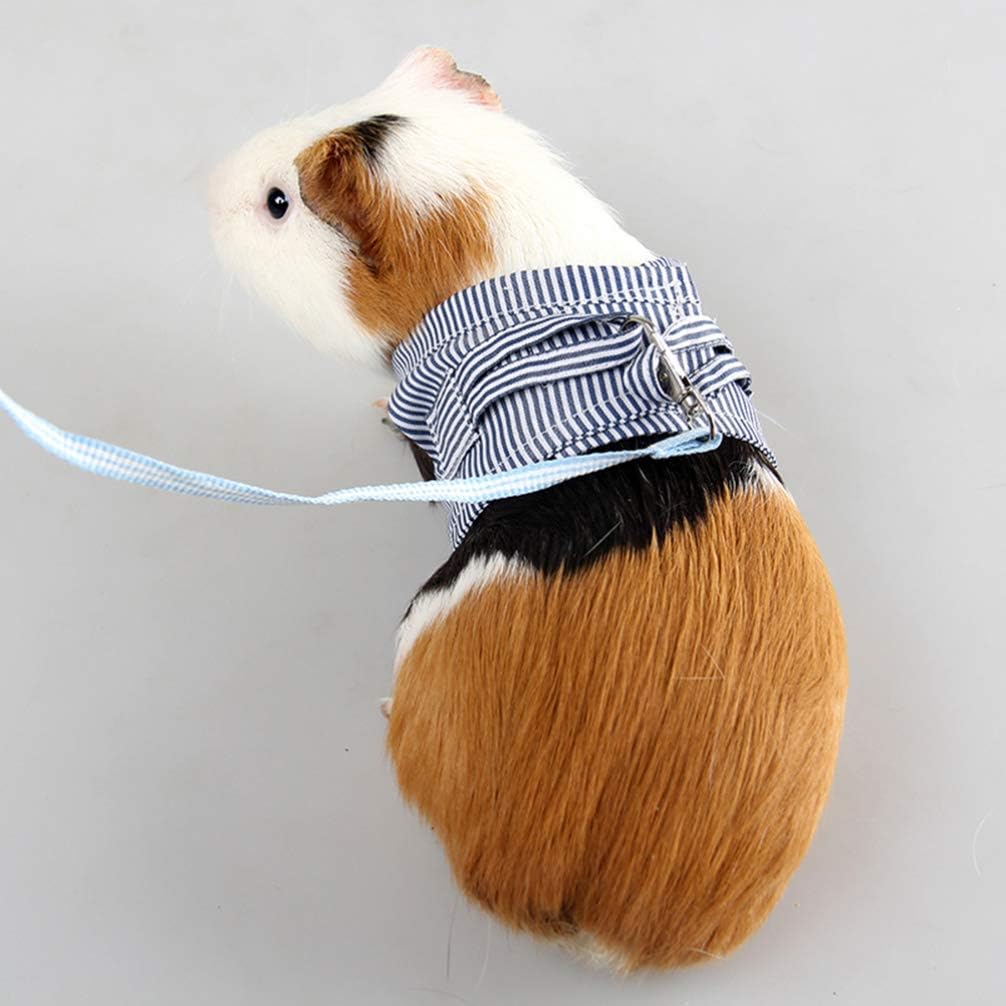 Ferret Harness - Small Animals Outdoor Walking Vest Harness with Leash Set Rabbit Hedgehog Ferret Guinea Pigs Piggies Squirrel Kitten Puppy Comfort Clothes - Blue Large