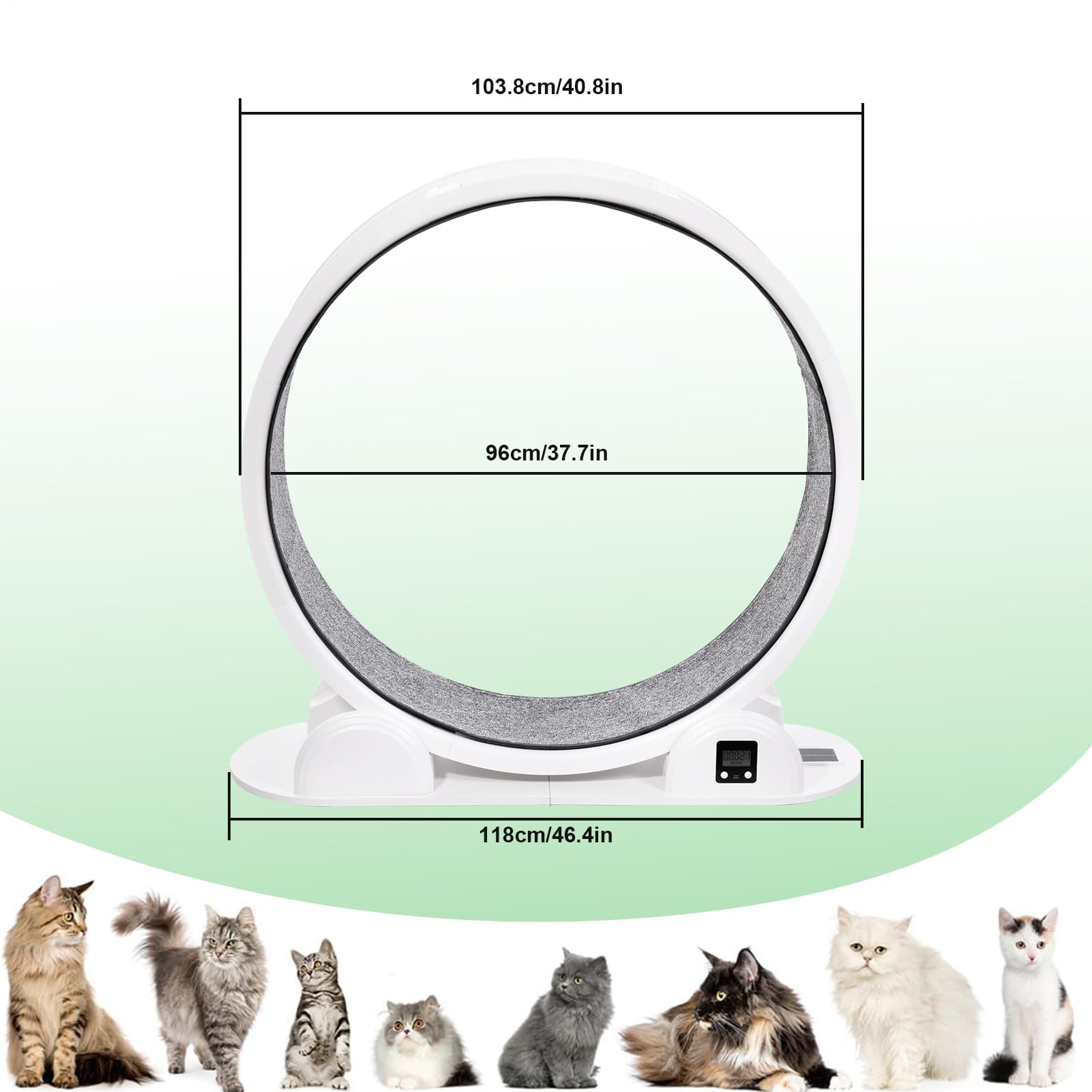 Rueda para Gatos - Rueda de 103,6 cm para Correr, TPE, súper silenciosa, Rueda de Equilibrio Grande para Gatos, con podómetro, soporta 22,7 kg, para Gatos pequeños, medianos y Grandes
