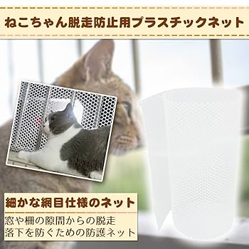 ねこ 猫壱 キャットトンネル スパイラル 木目柄（4580471863770）｜猫