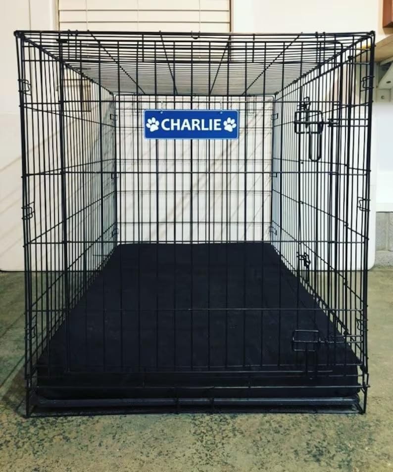 Miniatura 5 de Placa de identificación personalizada con placa de identificación para perros