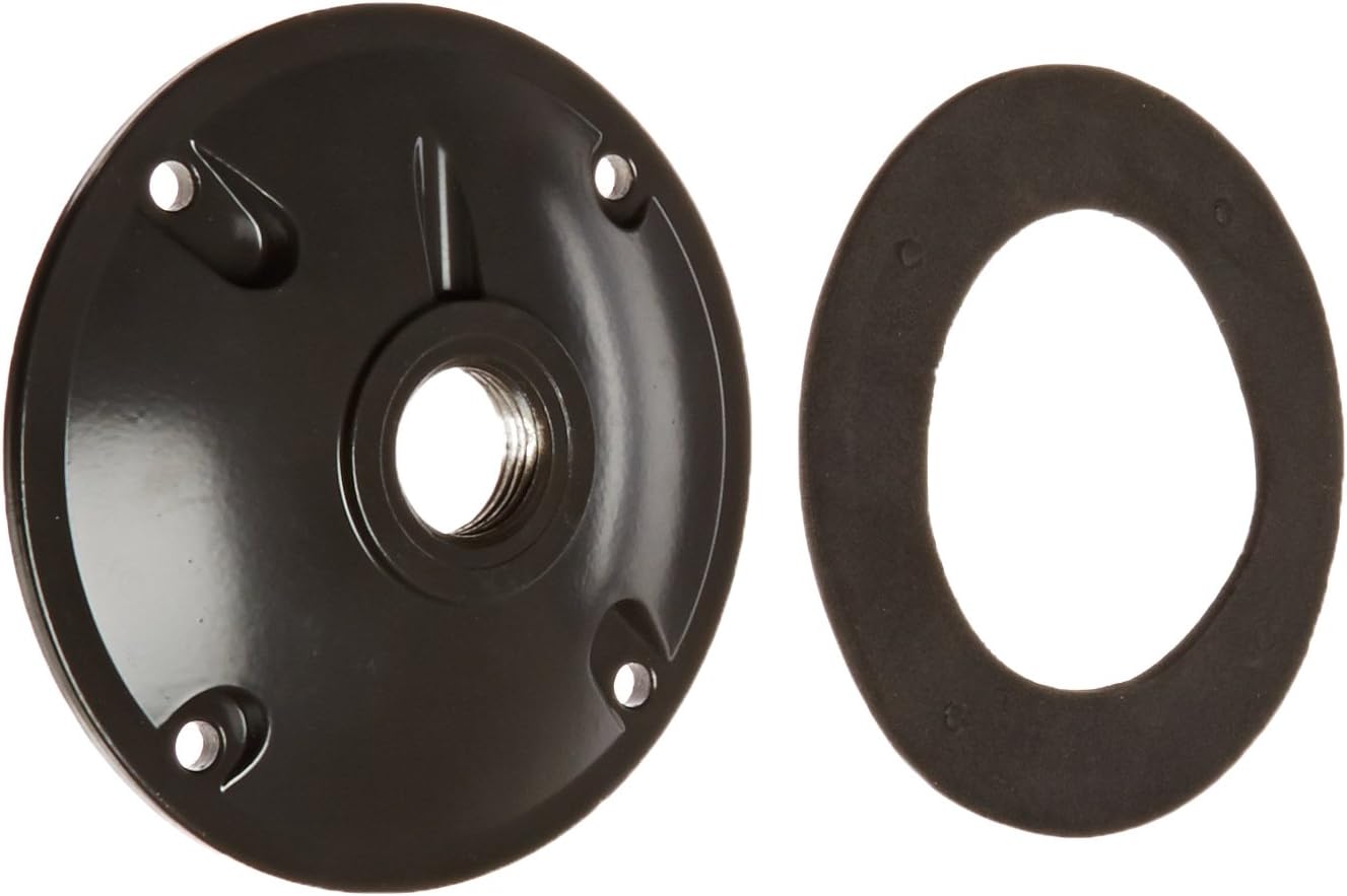 RAB Lighting XC1A Heavy Duty Weatherproof Round Cover, Aluminum, 12 Hole Size, 4 Diameter, Bronze