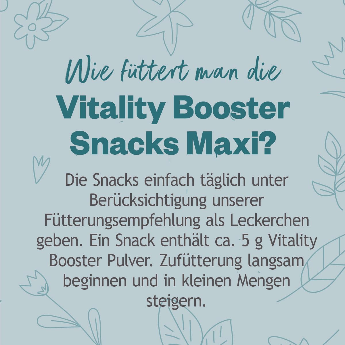 GRAU - das Original - Hokamix Vitality Booster Snack Maxi, 1er Pack (1 x 4,5 kg), Ergänzungsfuttermittel für Hunde