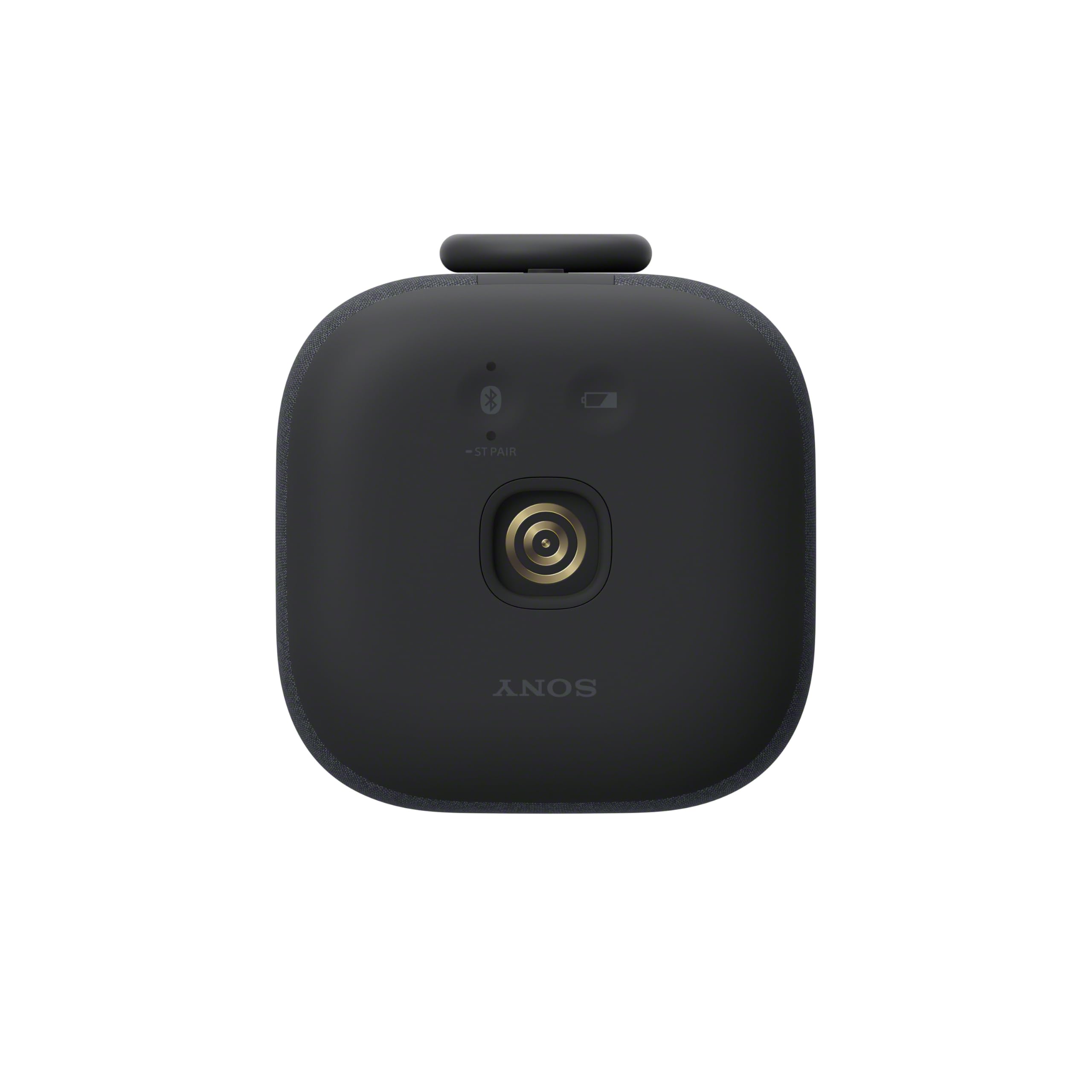 Sony Enceinte LinkBuds - Enceinte Portable sans Fil Bluetooth, IPX4, Résistante à l'eau, Batterie de 25 Heures, Qualité d'Appel Clair, Outdoor, Voyage - Noir